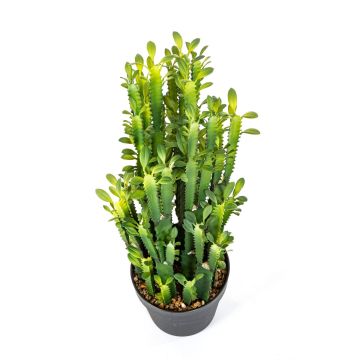 Künstlicher Euphorbia trigona KAROLIINA, grün, 65cm