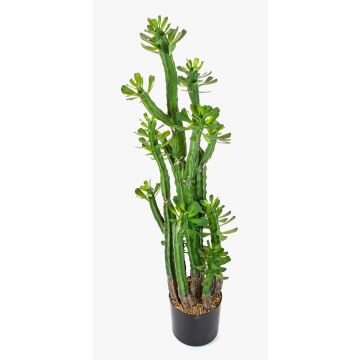 Plastik Kaktus Euphorbia trigona GACRUX, grün, 120cm