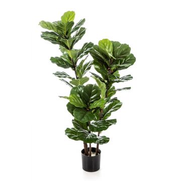 Künstlicher Ficus Lyrata GUDJA, Kunststämme, grün, 130cm