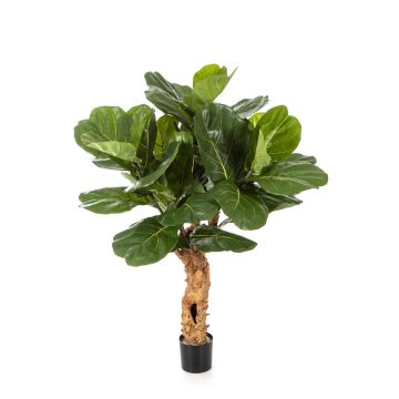 Deko Ficus Lyrata HADAR, Naturstamm, grün, 110cm