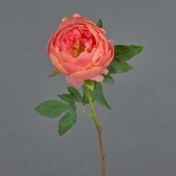 Künstliche Pfingstrose BARBRO, koralle, 65cm, Ø11cm