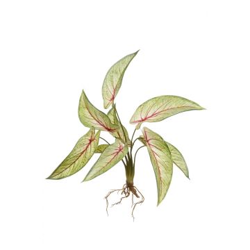 Künstliche Calathea Ornata ASAGI, Steckstab, Wurzeln, grün-rot, 40cm