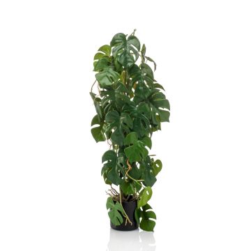 Kunstpflanze Philodendron Monstera Deliciosa RONGPU, 75cm