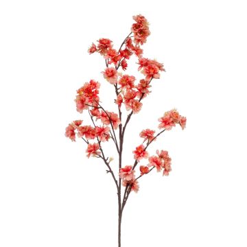 Deko Kirschblütenzweig GIMA mit Blüten, koralle, 120cm