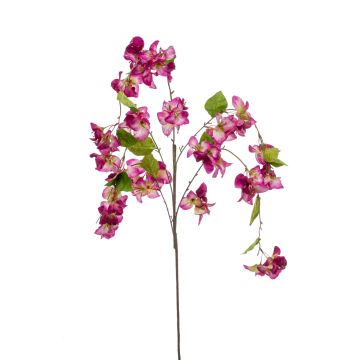 Dekozweig Drillingsblume MIKKI mit Blüten, violett, 120cm