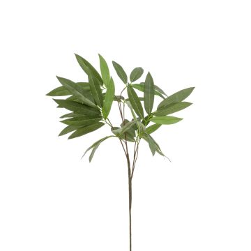 Deko Eukalyptus Zweig ELIKIA, grün, 95cm
