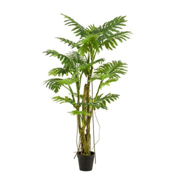 Kunstpflanze Philodendron Selloum EDHEM, 195cm
