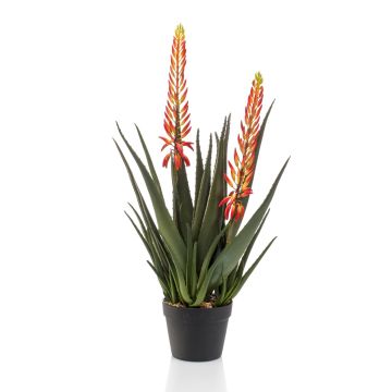 Kunstpflanze Aloe Vera SUSUMI mit Blüten, Dekotopf, orange-grün, 80cm