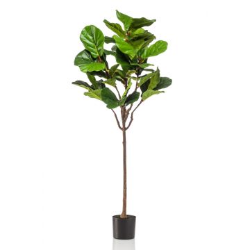 Deko Ficus Lyrata ABIULA, Echtstamm, grün, 155cm