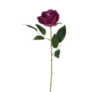 Textil Rose SEENSA, dunkelviolett, 55cm, Ø7cm