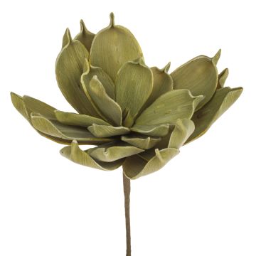 Kunststoffschaum Aloe Vera LIERA, olivgrün, 30cm