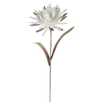 Kunststoffschaum Blüte Kaktus Königin der Nacht MOADI, weiß-altrosa, 90cm