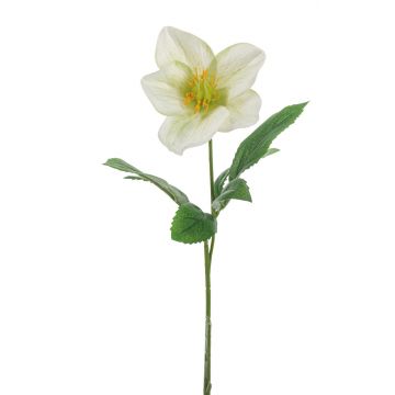 Künstliche Christrose GARONA, weiß-grün, 30cm, Ø9cm