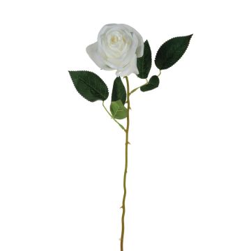 Textil Rose SEENSA, weiß, 55cm Ø7cm