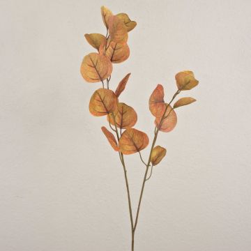 Künstlicher Eukalyptus Zweig SOPONG, braun, 80cm