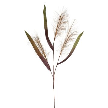 Kunststoffschaum Schilfgras Zweig künstlich ZIGOR, braun, 110cm