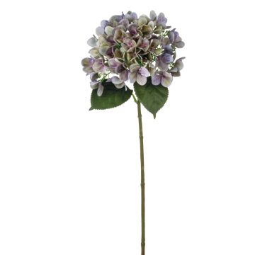 Textil Hortensie RELENA, grün-violett, 65cm