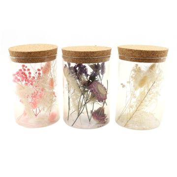 Trockenblumen im Glas FELICITY, 3 Stück, rosa-lila-weiß, 13cm, Ø8cm