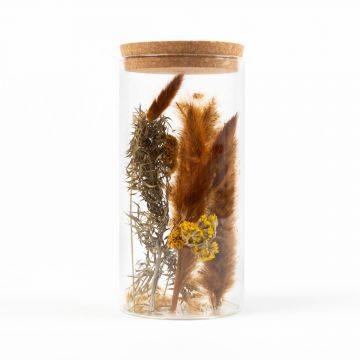 Trockenblumen im Glas LEIRA, braun-gelb, 20cm, Ø10cm