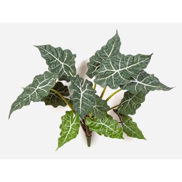 Künstliche Alocasia Sanderiana ORLANDA, grün-weiß, 60cm