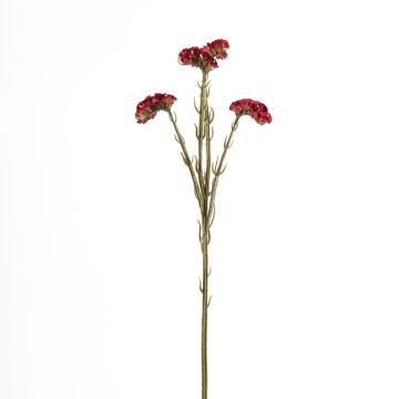 Kunstblume Strandflieder AYISHA, Trockenoptik, dunkelrot, 65cm