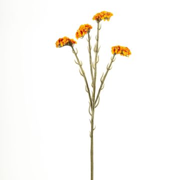 Kunstblume Strandflieder AYISHA, Trockenoptik, orange, 65cm