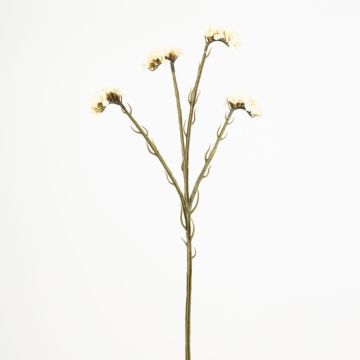 Kunstblume Strandflieder AYISHA, Trockenoptik, weiß, 65cm