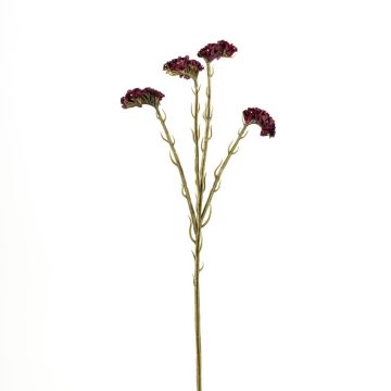 Kunstblume Strandflieder AYISHA, Trockenoptik, burgunderrot, 65cm