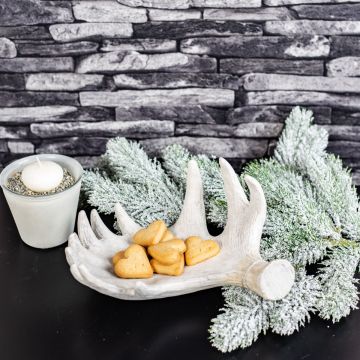 Weihnachtszeit ist Kekszeit