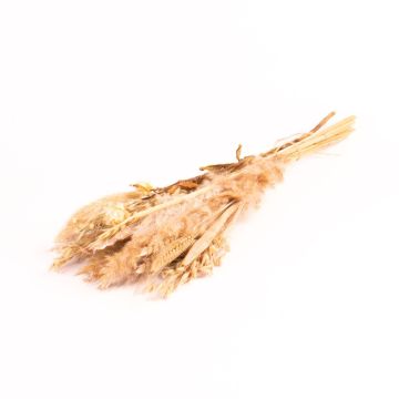 Getrockneter Strauß DILIANE, weiß-natur, 50cm, Ø15cm