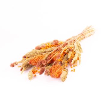 Trockenblumenstrauß FLORALIE, orange-natur, 55cm, Ø18cm