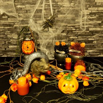 Halloween – Spooky Pumpkins
