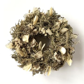 Trockenblumen Kranz MACARENA auf Strohkranz, Lunaria, creme-natur, Ø25cm