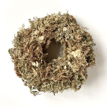 Trockenblumen Kranz MACARENA auf Strohkranz, Phalaris, creme-natur, Ø25cm