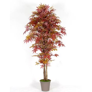 Kunst Japanischer Ahorn MYKYTA, Naturstämme, rot-braun, 300cm - Made in Italy