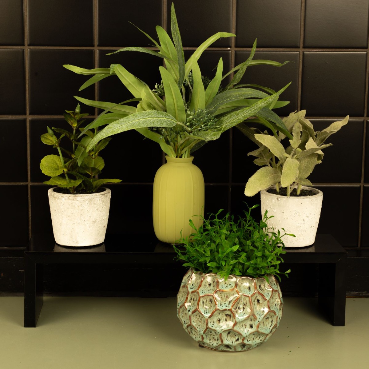Beautiful Herbs
