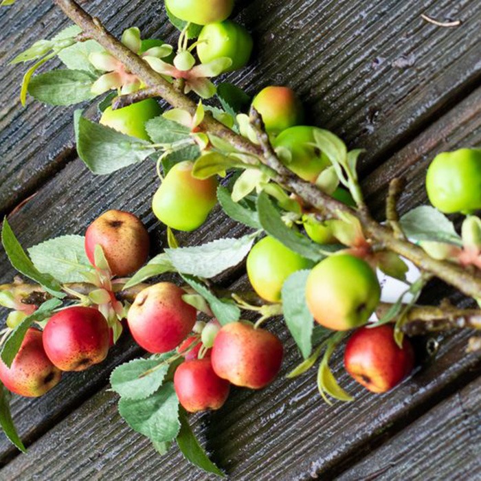 Fr&uuml;chte / Pflanzen A-Z