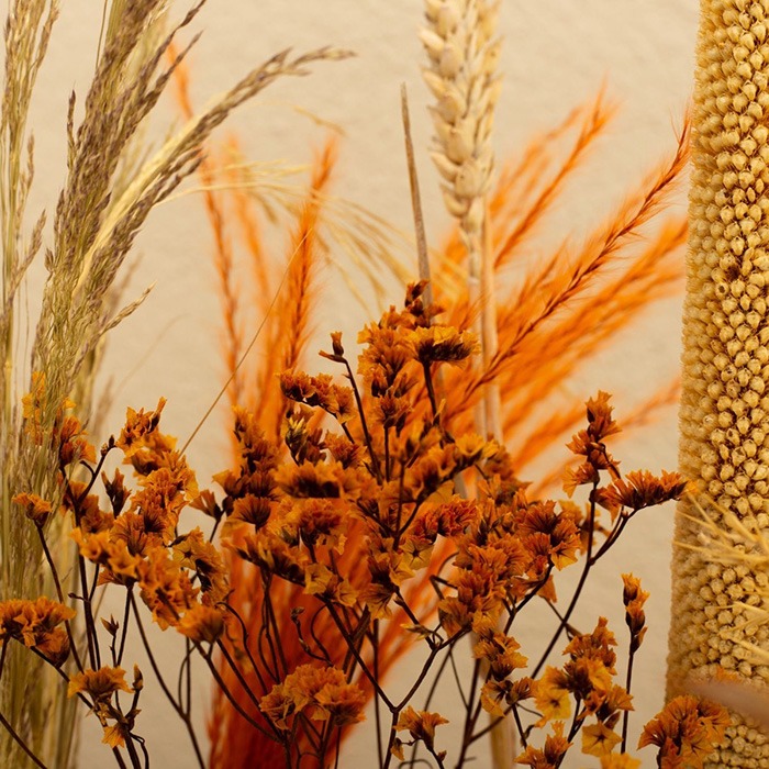 Trockenblumen