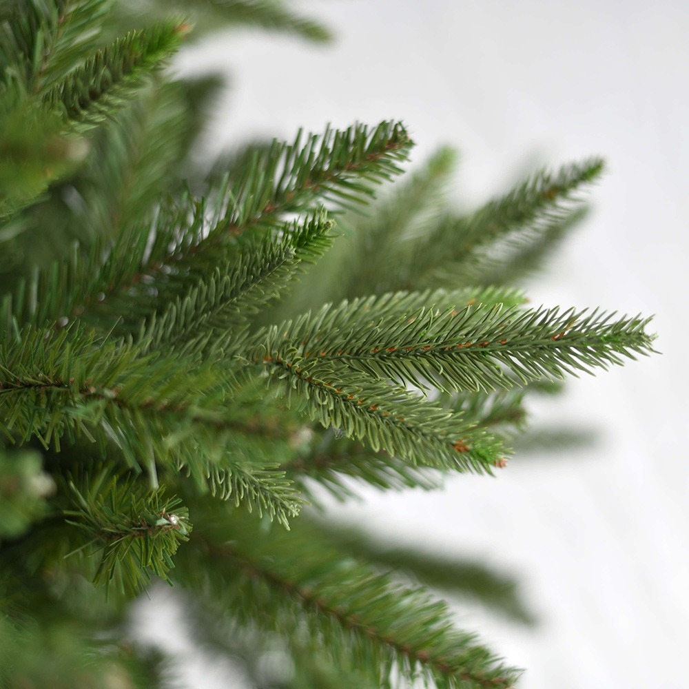 grüne Weihnachtsbäume