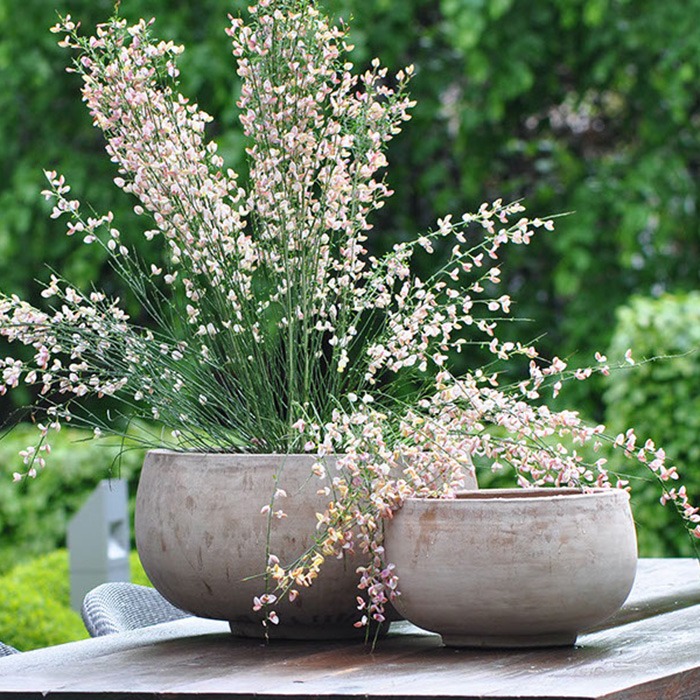 Blumentopf Formen