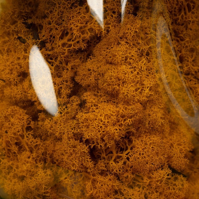 Kunstpflanzen / Trockenblumen / Moos