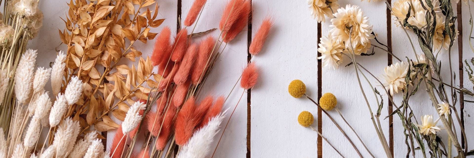 Trockenblumen