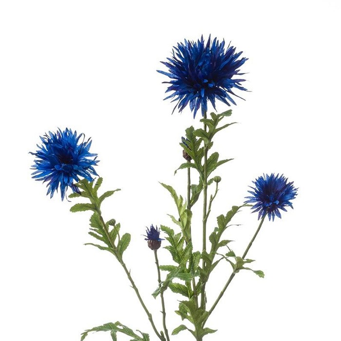 Blumen