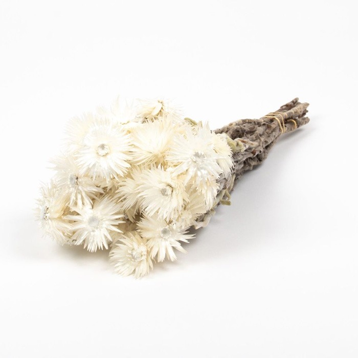 Trockenblumensträuße