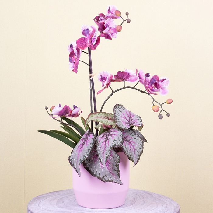 Knstliche Orchideen mit detailgetreuer Bltenpracht kaufen | artplants.de
