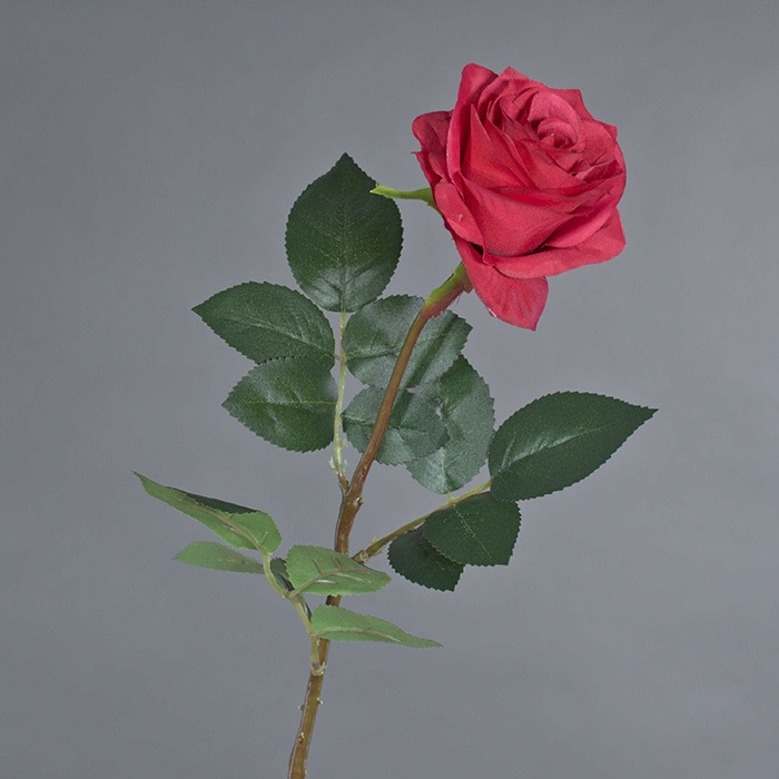 einzelne Rosen