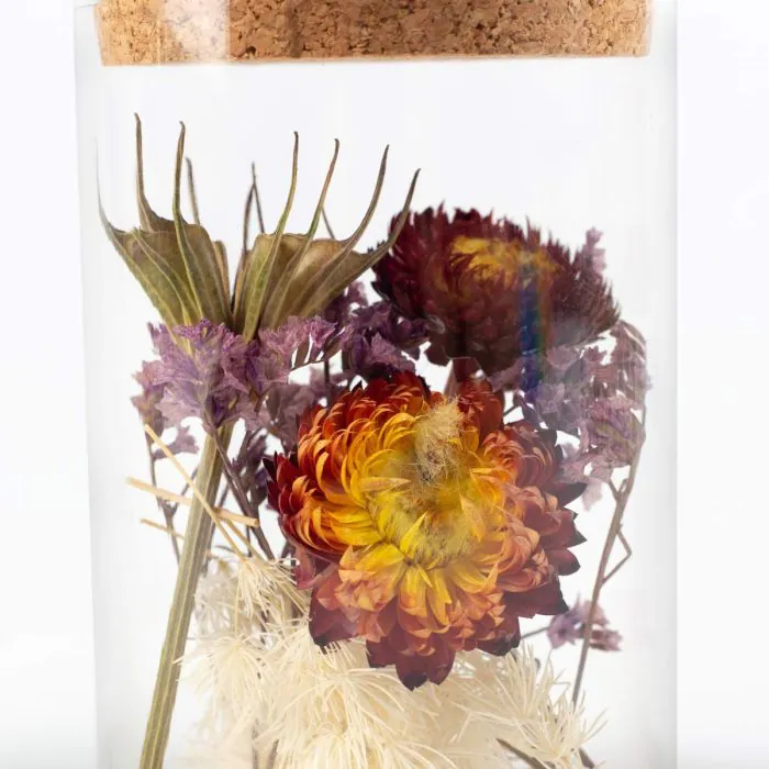 Trockenblumen SALE