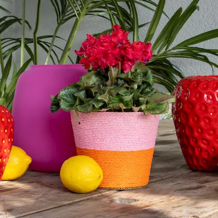 sommerliche Pflanzkörbe