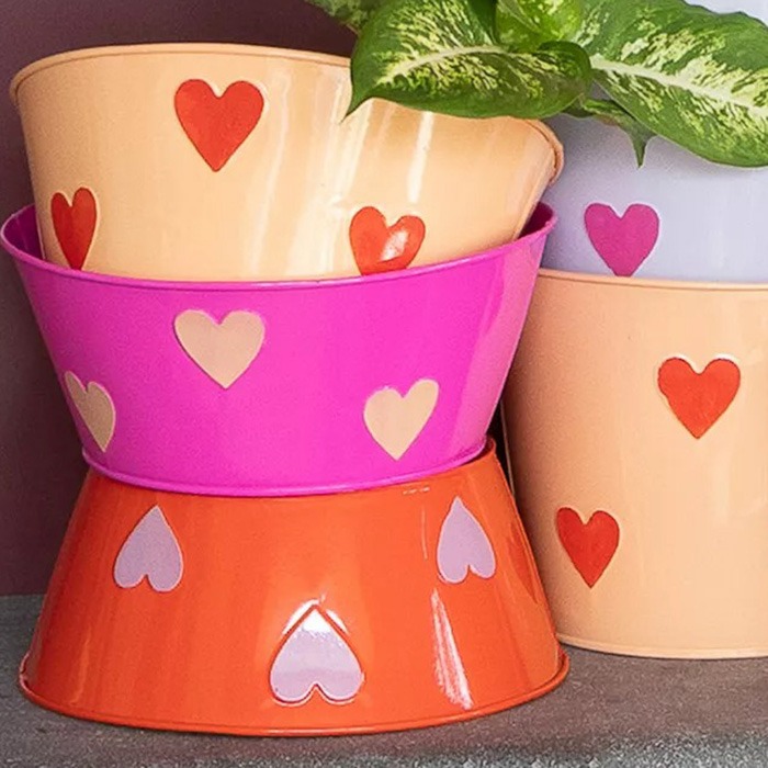 Schalen, Tabletts, Teller