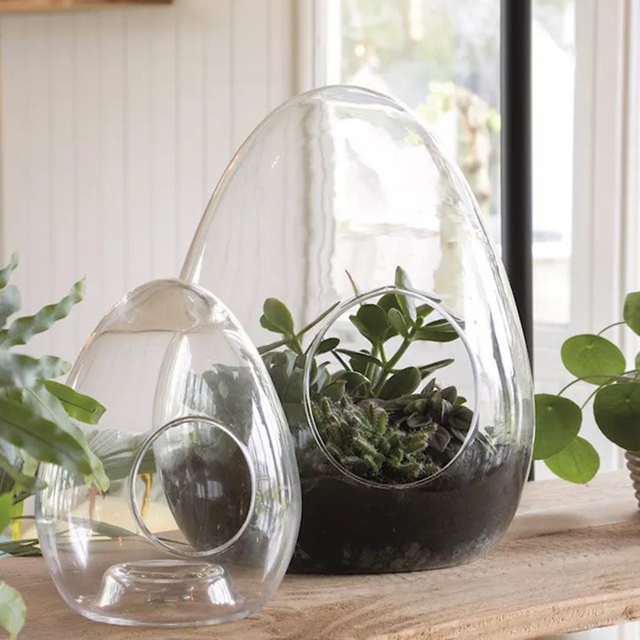 Terrarium-Vasen